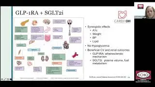 Cardi-OH ECHO - New and Emerging Therapies for Type 2 Diabetes