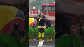 Red Bull Flugtag World Record