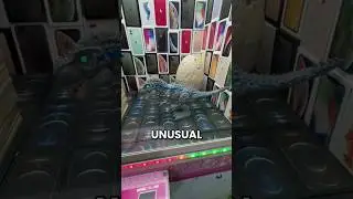 Arcade Machine Hacked 😱