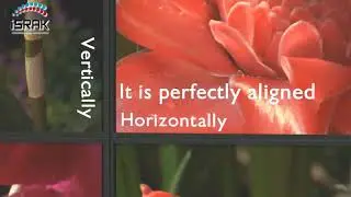 Philips Videowall Solution 2018 [Must See!!]