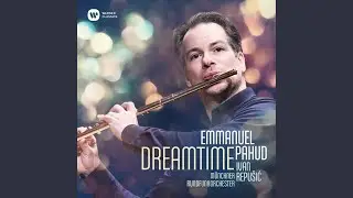 Flute Concerto in D Major, Op. 283: II. Lento e mesto