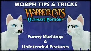 Morph Tips & Tricks | Warrior Cats: Ultimate Edition ROBLOX