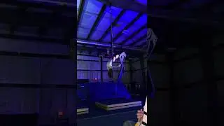 End of Summer Showcase- Royalty