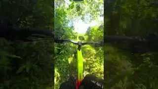 Camp Marag X Hermanos #mtblife #dayandnightcycling #campmarag #cavite #maragondon #enduro #downhill