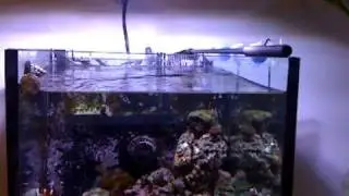 Vortech MP10 wave making on my 80L tank