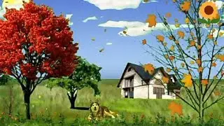 Autumn Falling Leaves Animation