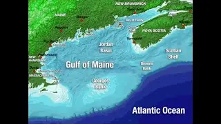 Explore the Gulf of Maine w/ Steve Podsiadlo Part 5 2-15-2024
