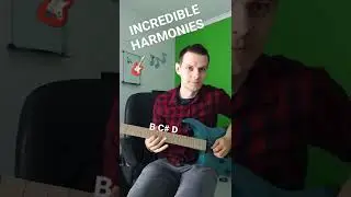 INCREDIBLE Guitar Harmonies 🎸🎶