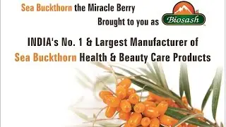 Benefits of Biosash Sea buckthorn