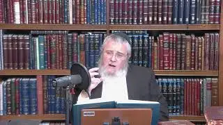 Beyond Letters:Two Paths to Approaching Sacred Torah Text &Staying Connected to Its Light Rav Pinson