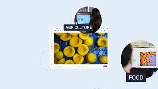 Robovision: The Computer Vision AI Platform for Industry