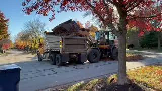 Brush leaf collection - city of Naperville. 