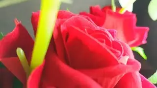5 beautiful plastic container craft idea 😘🩷