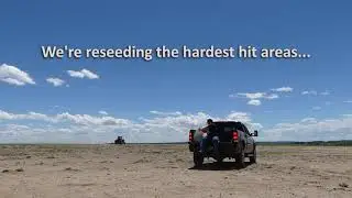 Reseeding the Land | Black Hills Wild Horse Sanctuary