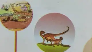 hash . STD 9 history unit 1. Evolution of Human and Society- Prehistoric Period. Part 1.