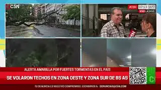 LLUVIAS y DESTROZOS por la TORMENTA: CAYERON ÁRBOLES Y se VOLARON TECHOS