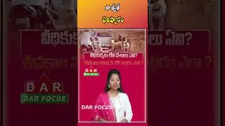 Stray Dog Problem Solution | Sterilization & Vaccination, Not Killing | Latest updates | DAR FOCUS