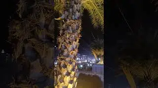hyderabad night view 😍