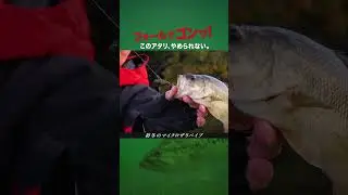 【冬のバス釣り】バイブレーションのリフト＆フォール「マイクロザリバイブ」 #バス釣り #赤松健