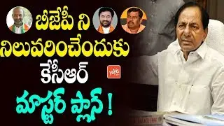 CM KCR Master Plan To Counter Telangana BJP | Bandi Sanjay | Kishan Reddy | Raja Singh | YOYO TV