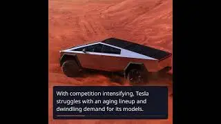 Elon Musk and the Dimming Tesla Brand: A Critical Overview