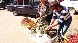 Vayots Dzor, Historic Wine Country, My Armenia Teaser Video
