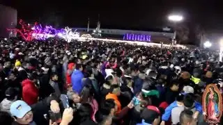 Mañanitas a la virgen de Guadalupe en Des Plaines chicago IL #1