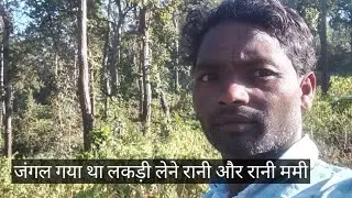 जंगल गया था लकड़ी लेने #went #to #the #forest #to #collect #wood 