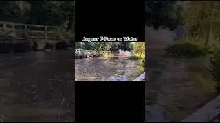 Jaguar F-Pace vs. Water Puddle!