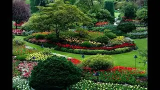 Landscape Desing ideas\ Best ideas for  garden and landscape #5465 #shorts 13