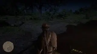 Red Dead Redemption 2_20260126132701
