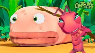 Trapped Inside a Giant Worm! | Antiks 🐜 | Funny Cartoons for Kids