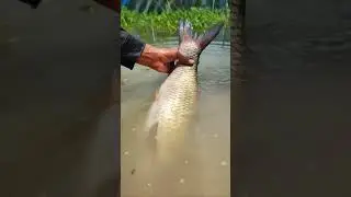Amazing Big Fishing Video. Top 10 most popular Fishing Video #fish #fishing