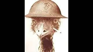 The Great Emu War Speech