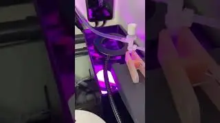 Temporary refugium using the ATO container (no drill, only siphoning water from display)