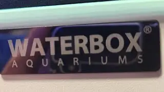 Waterbox peninsula 4820 build series (kessil a360x tuna blue)