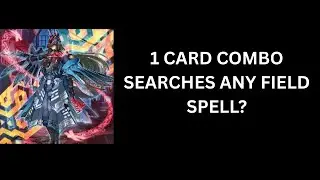 K9 Can Search ANY Field Spell???