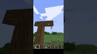 Теперь у него новый друг  #minecraft #fun #luck