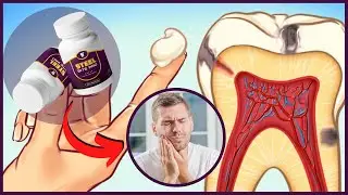 Steel Bite Pro Review - Steel Bite Pro Really Works? (HONEST REVIEW 2022) Official Website