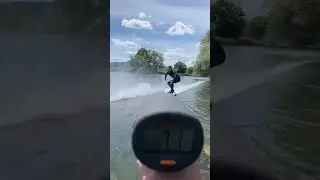 Bungeesurfing, a new way of freedom🤙 #riversurfing #bungeesurfing #seporsurf