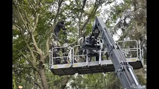 Zweiter Tag im HERRENWALD: R&auml;umungen, Festnahmen, Sitzblockaden