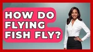 How Do Flying Fish Fly? - The Marine Life Explorer