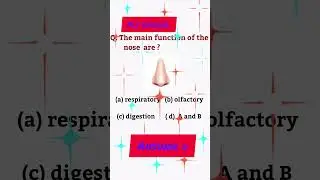 The main function of the nose //#main function of nose #nose function