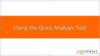 Using the Quick Analysis Tool