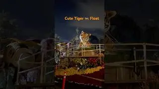 #sandiegozoo float #trending #shortvideo