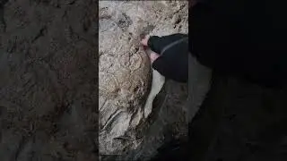 🚀 Мчу на моноколесе в центр Вероны &mdash; к легендарному амфитеатру Verona Arena. Эдуард Кичигин