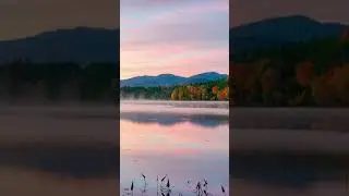 Relaxing music for night time #relaxing #music #relaxingmusic #relaxation #viral #shorts #fyp