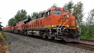 BNSF Seattle Sub Trains Pt. 9:  Puyallup, Meeker, and Sumner