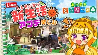 【あつ森】Day19🌳🐿️今日も今日とて部屋作りして家具集め…!?🥒⛱🏠