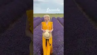 💜#travel #beautiful #flowers #love #lovesong #lavender #italy